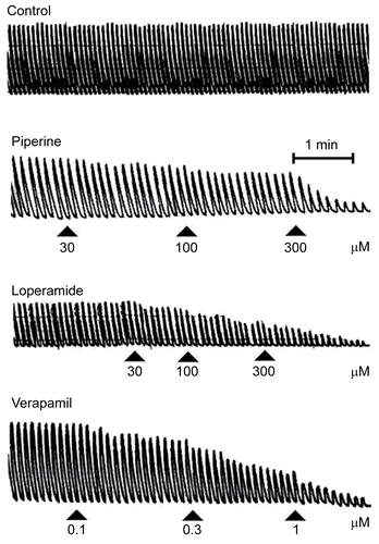 Figure 1.  A typical tracing of showing inhibitory effect of piperine, loperamide and verapamil on spontaneously contracting isolated rabbit jejunum preparations.