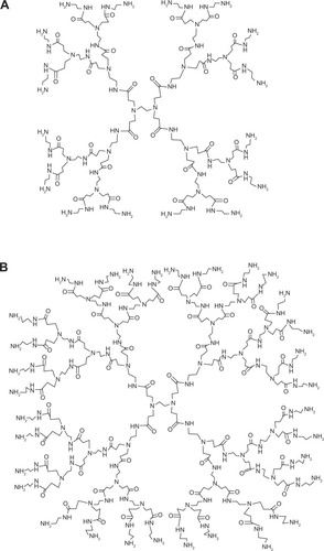 Figure 1 Chemical structure of polyamidoamine-NH2 dendrimer generation 2 (A) and generation 3 (B).