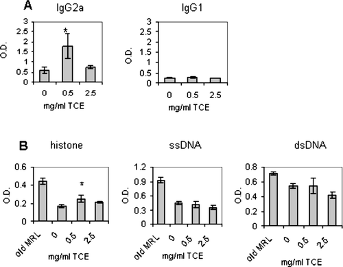 FIG. 3 Increased IgG2a and anti-hostone levels in TCE-exposed offspring. Total IgG2a and IgG1 levels in the sera of individual mice were measured using standard ELISAs as described in Materials and Methods. Serum (diluted 1:100) was collected from the offspring at sacrifice and tested for IgG2a, IgG1, anti-histone, anti-ssDNA, or anti-dsDNA. The data are presented as the mean optical density (OD) + SD. Sera from aged adult MRL+/+ mice (8–10 months of age) were also tested as a control for positive responses for autoantibody production. *Statistically different from control (* p < 0.05).