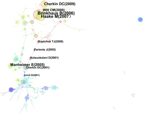 Figure 7 Reference cocitation map related to acupuncture for LBP research from 1997 to 2016.