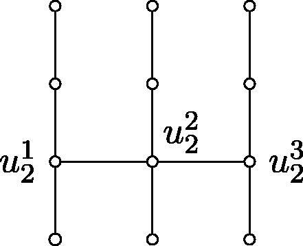 Fig. 4 Graph T.