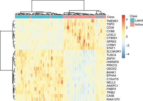 Figure 2 The heatmap of the 24 signature genes latent and active TB patients.Notes: The rows represent genes while the columns represent patients. The green and red columns represent latent and active TB patients, respectively. It can be seen that the latent and active TB patients were clustered into different groups.Abbreviation: TB, tuberculosis.