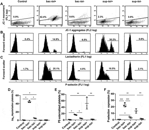Figure 2. The bacterial cells and culture supernatant of S. aureus induced platelet apoptosis and activation. Washed platelets (3×108/ml) were incubated with the bacterial pellet or culture supernatant of the tst gene associated SaPI positive (bac-tst+) or negative strains (bac-tst-) (1:20) (sup-tst+ or sup-tst-) (10 μl) or vehicle control (MTB buffer) at 37°C for 1.5 h. Representative flow cytometric figures (left) and quantification (right) of Δψm depolarization (A), PS exposure (B) and P-selectin expression (C) were shown. Data were expressed as mean ± SEM from 3 independent experiments. ****P<0.0001; ***P<0.001; *P<0.05, Tukey test.