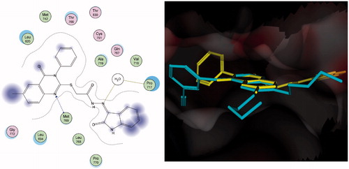 Figure 5. Docking of compound 28 (left panel) and superposition with erlotinib (right panel) in the receptor pocket of EGFR kinase. Compound 28 and erlotinib are shown in yellow and cyan, respectively.