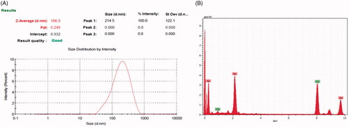Figure 2. (A) DLS of AuNPs synthesized from CR-AuNPs, (B) EDX analysis of photosynthesized AuNPs.