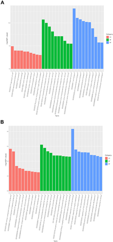Figure 3 Functional and pathway enrichment analysis of DEGs among the different groups of rats. (A) GO enrichment analysis of DEGs in the normal group of rats compared with DN rats. (B) GO enrichment analysis of DEGs in DN group of rats compared with YS group rats.