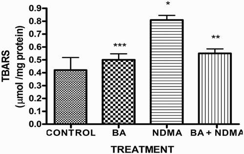 Figure 1. The levels of testicular TBARS in rats treated with NMDA and BA (alone and combination).