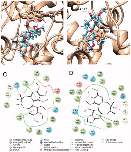 Figure 1. (A and C) best pose of compound cp1 in complex to acetylcholinesterase (GoldScore); (B and D) best pose of compound cp4 in complex to acetylcholinesterase (PLP).