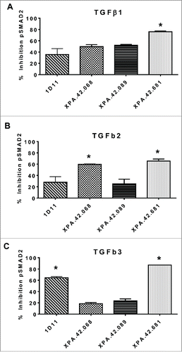 Figure 7. Inhibition of SMAD2 phosphorylation. Detroit 562 cells were pre-incubated with neutralizing or control antibodies (50 ng/mL), then stimulated with 5 ng/ML TGFβ1, -2, or -3 for 30 minutes. Cell lysate were prepared and analyzed by ELISA for total and phosphorylated SMAD2. Percent inhibition of pSMAD2 was normalized to total SMAD2 for each clone relative to the anti-KLH control antibody.