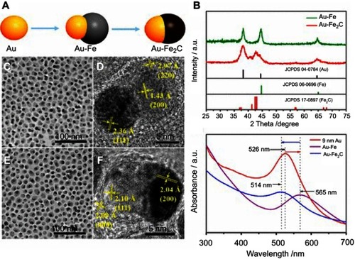 Figure 17 (A) Schematic depiction of the synthetic process of Au@Fe2C Janus NPs. (B) XRD patterns of Au@Fe heterostructures and Au@Fe2C Janus NPs. (C) TEM and (D) HRTEM images of Au@Fe heterostructures. (E) TEM and (F) HRTEM images of Au@Fe2C Janus NPs. (G) UV–vis absorption spectra from 300 to 700 nm of 9 nm Au NPs, Au@Fe heterostructures, and Au@Fe2C Janus NPs in hexane, respectively. Reprinted with permission from Ju Y, Zhang H, Yu J, et al. Monodisperse Au–Fe2C Janus nanoparticles: an attractive multifunctional material for triple-modal imaging-guided tumor photothermal therapy. ACS Nano. 2017;11(9):9239–9248.Citation27 Copyright 2017 American Chemical Society.