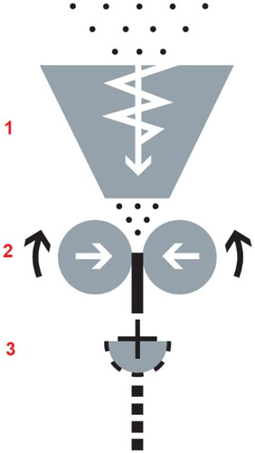 Figure 1. The schematic illustration of the roll compactor and the main functional parts: (1) vertical forced screw feeder; (2) compaction rolls; (3) rotor sieving mill.
