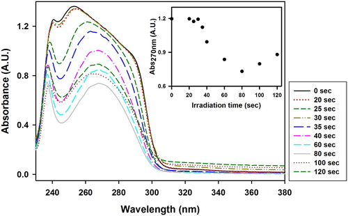 Figure 5. UV–Vis spectra of the VBT:VBA4 copolymer (1.0% AIBN) washed solution at various irradiation times. Inset: Evolution of the absorbance at 270 nm as function of irradiation time.