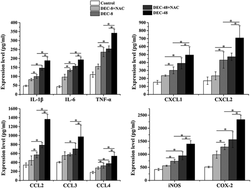 Figure 4. NAC attenuates inflammation in rats with SCI on the third day of treatment after decompression surgery. The expression of pro-inflammatory cytokines and chemokines in injured spinal cords. Data presented as mean ± SD, n = 5, *p < 0.05.