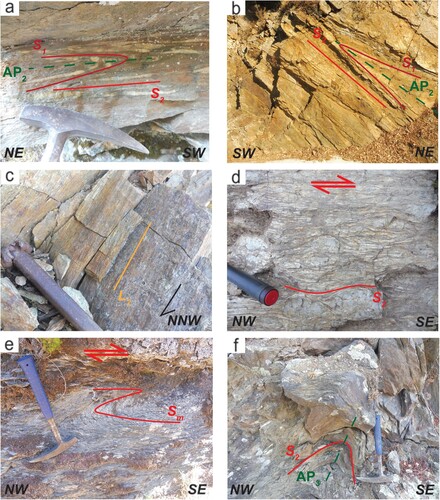 Figure 5. Mesoscopic deformational features of the ZMC. (a) Folded and transposed S1 foliation in the MU from outcrop along the D228 road. (b) SE-plunging F2 folds affecting the LAU along the D757a road; the former S1 is tightly folded with an S2 axial plane foliation development. (c) N-NW-plunging L2 object lineation in the ultramylonitic part of the OU, North-East of locality Rossalmu. (d) Top-to-the-SE shear sense highlighted by a quartz porphyroclast in the mylonitic augen gneiss from the OU-LAU contact in a roadcut along the D757a road. (e) Top-to-the-SE sense of shear highlighted by an asymmetric fold in mylonites along the LAU-MU contact along the D228 road. (f) NE-plunging F3 upright fold affecting the phyllites of the MU near the Gierbarella locality.