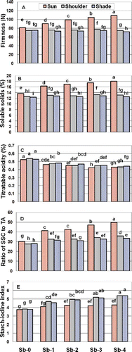FIGURE 2 Treatment combinations of sunburn class and side of fruit analyzed for flesh firmness, SSC, TA, SAR, and starch index. Each bar represents the MFC. Bars with different letters above them are significantly different (P < 0.05) from other bars in the figure for that quality trait.
