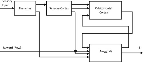 Figure 3. Structure of BELBIC intelligent technique [Citation21].