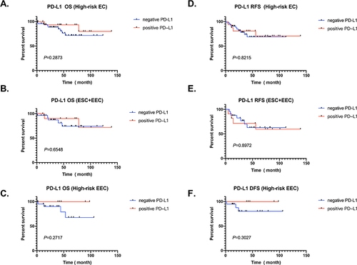 Figure 3 PD-L1 expression in different types of endometrial cancer and prognostic outcomes. (A–C) PD-L1 expression and OS of high-risk EC patients, non-endometrioid endometrial carcinoma (ESC+EEC) and high-risk endometrioid endometrial carcinoma (EEC). The red line represents positive expression, and the blue line represents negative expression. (D–F) PD-L1 expression and RSF of high-risk EC patients, non-endometrioid endometrial carcinoma (ESC+EEC) and high-risk endometrioid endometrial carcinoma (EEC). The red line represents positive expression, and the blue line represents negative expression.