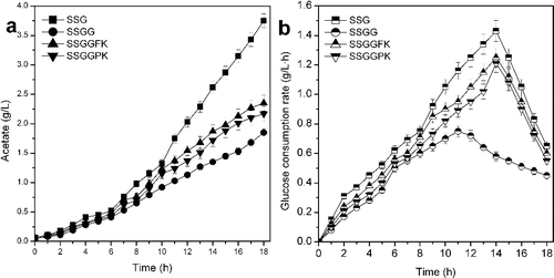 Figure 5. Effect of modification of the PTS system on the accumulation of acetate (a) and glucose consumption rate (b) in expression of GDH protein by E. coli (P < 0.05).