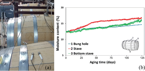 Figure 6. Moisture content (MC%) variation of the interior of the oak wood at 5 mm distance from the wine in different staves of a French oak barrel (del Alamo-Sanza and Nevares, Citation2015; Nevares and del Alamo-Sanza, Citation2016).