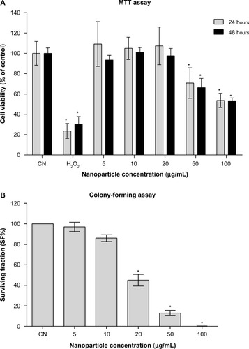 Figure 2 (A and B) Evaluation of in vitro cytotoxicity. (A) Results of the MTT assay: means ± SD of data normalized to untreated controls from eight measurements for each nanofluid concentration and 12 measurements for the untreated (CN) and H2O2-treated controls are shown. (B) Results of the colony-forming assay: mean ± SD of data normalized to untreated controls from three independent experiments in triplicate are shown.Note: *P<0.05 with respect to untreated controls.Abbreviations: MTT, 3-(4,5-dimethylthiazol-2-yl)-2,5-diphenyltetrazolium bromide; SD, standard deviation.