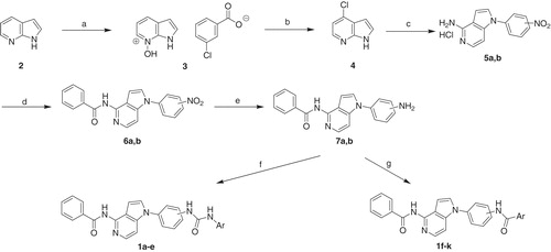 Scheme 1. Reagents and conditions: (a) 3-chloroperoxybenzoic acid, DME:heptane (1:2), rt, 2.5 h; (b) POCl3, 55 °C then rt then 85–90 °C, 18 h; (c) appropriate nitroaniline, 180 °C, 2–5 h; (d) benzoyl chloride, diisopropylamine, CH3CN, rt, 8 h; (e) Pd/C, H2, THF, rt, 2 h; (f) aryl isocyanate, THF, rt, 8 h; (g) benzoic acid derivative, HOBt, EDCI, TEA, DMF, 80 °C, 12 h.