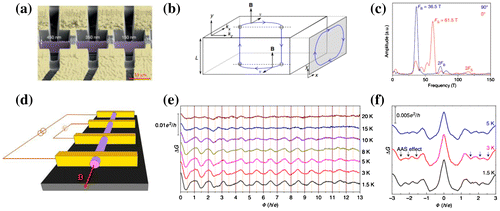 Figure 3. The surface states mediated transport experiment. (a) Cd3As2 microplates with different thickness [Citation144]. (b) The theoretical model, namely ‘Weyl orbit’ [Citation143], which weaves together the chiral states in the bulk with the topological Fermi arc states on opposite surfaces in a closed orbit. Moreover, when the carriers are tunneling from the bulk state to the surface state, namely Fermi arc, an additional oscillation frequency will be induced. (c) An additional oscillation frequency is observed when the magnetic field is perpendicular to the microplate plane [Citation144]. denotes that the magnetic field direction is parallel to the normal direction of the microplate. (d) The standard four-terminal measurement of Cd3As2 nanowire with an axial magnetic field applied [Citation153]. (e) AB effect in Cd3As2 nanowire [Citation153]. A typical periodic oscillation is observed and the amplitude is gradually decreasing with temperature increasing. (f) The AAS effect in Cd3As2 nanowire with diameter [Citation153].