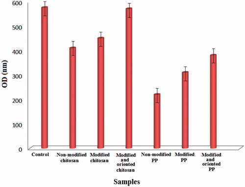 Figure 2. The MTT assay result for rate of proliferation of cells on different samples. Non-modified chitosan and PP, Modified chitosan and PP, Modified & oriented chitosan and PP and Control (TCPS).