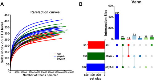 Figure 2. Rarefaction analysis and OTU numbers in the gut microbial community of mice with and without sodium phytate intake. (A) Rarefaction curves of OTUs in different samples from the Ctrl, the phyA-L and the phyA-H group. Sample richness in each sample is expressed by Sobs index, which is calculated with the Mothur software (v.1.30.1). The curves were generated by plotting the valid sequence numbers obtained in each sample against the richness estimator Sobs index. (B) Venn diagrams of OTU numbers in the Ctrl, the phyA-L and the phyA-H group. The diagram was generated with R software package. The unique and shared OTUs numbers among the three groups are shown. 4-week-old male Kunming mice were orally gavaged with 100 μL saline (Ctrl, Control) or 100 μL saline containing 8 mg (phyA-L, low phyate) or 40 mg of sodium phytate (phyA-H, high phyate) per day for 4 weeks.