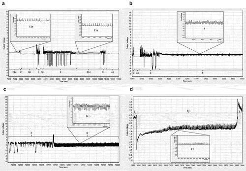 Figure 1. Visualization of characteristic aphid probing activities derived from Electrical Penetration Graphs (EPGs) technique. The illustration is composed of representative samples from EPG recordings in the present study. The images for panels a, c and d were obtained from EPG recordings of Aphis fabae on Vitis amurensis and the image for panel b was obtained from EPG recording of Myzus persicae on V. amurensis. “np” – no probing, “C” – pathway activity in apoplast with intracellular punctures, “E1e” – watery salivation into apoplast, “E1” – watery salivation into sieve elements, “F” – derailed stylet activities in apoplast, “G” – sap ingestion from xylem vessels.
