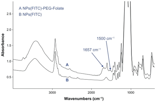 Figure 5 Fourier transform infrared spectra of nanoparticles-(fluorescein isothiocyanate)-polyethylene glycol-Folate (NPs[FITC]-PEG-Folate) particles (A) and NPs(FITC) particles (B).