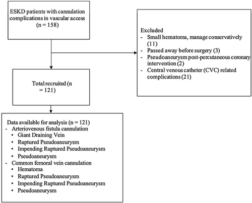 Figure 1 The flowchart of the study selection process.