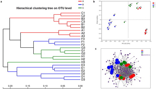 Figure 3. Relationship of the gut microbiota from different herbivores, carnivores and omnivores. (a) Clustering tree of the gut microbiotas in different animals from herbivores (A group), carnivores (B group) and omnivores (C group). Gut microbiota trees were generated using the UPGMA (unweighted pair group method with arithmetic mean) algorithm based on the Bray-Curtis distances generated by Mothur. (b) Principal coordinate analysis (PcoA) of community structure of the gut microbiotas of the three groups. Circular (red), triangular (blue) and diamond (green) shapes represent the gut microbiotas from herbivores (A group), carnivores (B group) and omnivores (C group), respectively. Distances between symbols on the ordination plot reflect relative dissimilarities in community structures. (c) Network-based analysis of faecal microbial communities in herbivores, carnivores and omnivores.