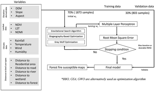 Figure 4. Workflows of proposed models.