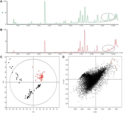 Figure 1. Plots from UPLC/QTOF/MS and SIMCA-P. A and B showed the typical total ion current (TIC) chromatograms of plasma samples obtained from an EOC patient and a normal control, respectively, using UPLC/QTOF/MS; C shows the PLS-DA score plot for the first two components (t[Citation1], t[Citation2]), which reveals that a considerable separation was achieved between EOC plasma samples (the red triangle) and normal controls (the black box). D depicts the PLS-DA scatter-plots results. The candidate biomarkers are marked with red square.