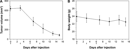 Figure S4 Antitumor effect of PTX-CMs in A549 late-stage tumor model.Notes: (A) Tumor growth curve, and (B) body weight changes. Arrows indicate time points when mice received intravenous injections. Data are presented as mean ± SD (n=7).Abbreviation: PTX-CMs, paclitaxel-loaded sodium cholate and monomethoxy(polyethylene glycol)-block-poly(d,l-lactide) micelles.
