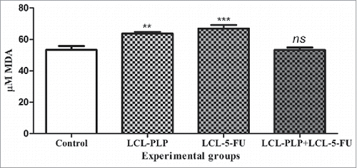 Figure 7. The effects of different treatments on MDA levels from C26 tumor homogenates. Data were expressed as mean ± SD of triplicate measurements. Control - untreated group; LCL-PLP - group treated with 20 mg/kg PLP as liposomal form at days 8 and 11 after tumor cell inoculation; LCL-5-FU - group treated with 1.2 mg/kg 5-FU as liposomal form at days 8 and 11 after tumor cell inoculation; LCL-PLP+LCL-5-FU - group treated with 20 mg/kg LCL-PLP and 1.2 mg/kg LCL-5-FU at days 8 and 11 after tumor cell inoculation; ns - not significant (P > 0.05); **P < 0.01; ***P < 0.001.
