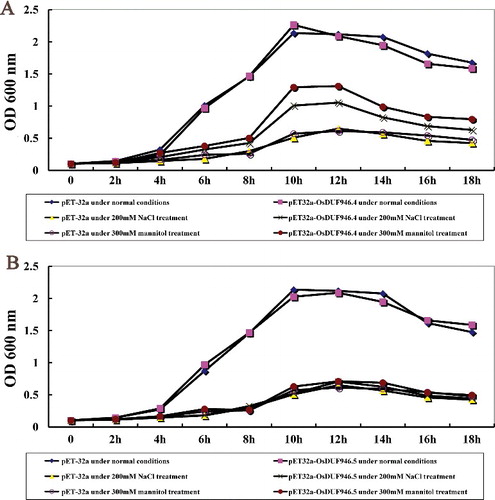Figure 5. Growth of E. coli recombinants overexpressing OsDUF946.4 (A) and OsDUF946.5 (B) under salt and drought stresses.