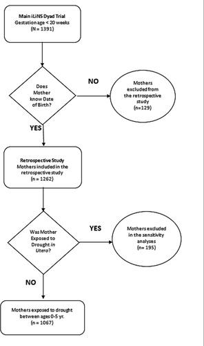 Figure 3. Study participants loss to follow-up