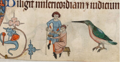 Fig 1 Bloodletting scene from the Luttrell Psalter, MS 32130, fol. 61r. Photograph © The British Library.