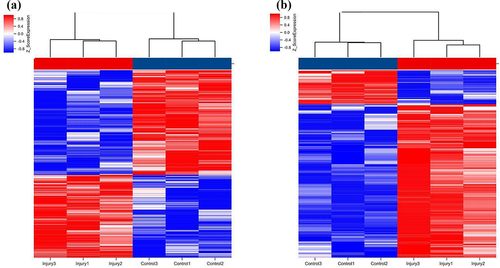 Figure 3. Hierarchical clustering of lncRNAs (a) and mRNAs (b) differentially expressed in the lung of smoke inhalation injury mice versus control mice. Heat maps showing significantly (absolute fold-change ≥ 2.0, P ≤ 0.05) regulated lncRNAs (a) and mRNAs (b). Three mice were analyzed in each group. Expression values are presented with the intensity of the color scheme, which ranges from blue to red, indicating low to high relative expression, respectively.