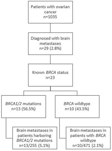 Figure 1. Distribution of BRCA mutation status in patients with brain metastases. Hazard ratio = 3.029 (95%CI, 1.4–6.5), p = 0.0123.