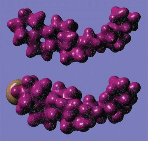 Figure 7.  3D images of charge density (upper) and electrostatic potential (lower) of β-sitosterol molecule (DFT/6-31G* results).