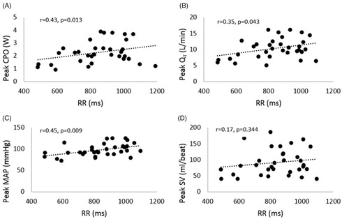 Figure 1. Relationship between RR interval and peak cardiac power output, CPO (A); cardiac output, QT (B); mean arterial blood pressure, MAP (C), and stroke volume, SV (D).