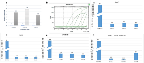 Figure 9. RT-PCR analysis; A; Relative expression of Cas13a in the transgenic lines were represented as compared to control line, error bar is representing the technical repeats. Line Cas13.2 strongly expressing as compared to Cas13.1, Cas13.3. B: Copy number of PVY were determined by qRT-PCR: B; Control dilutions parameters, while C, D, E and F expressing virus titer in the transgenic lines against PVYO, PVYN, PVYNTN, and co-inoculations of PVYO, PVYN, PVYNTN respectively.