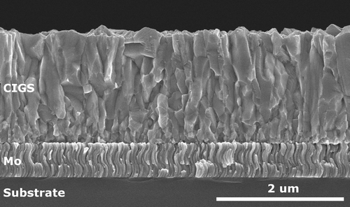 Figure 3. SEM cross-section micrograph of a typical investigated single stage CIGS (GGI 0.16, CGI 0.95).