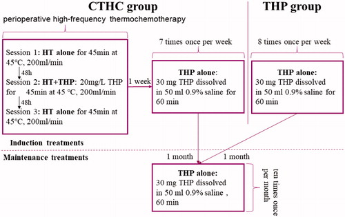 Figure 2. The schematic diagram of treatment of CTHC and THP groups. Above the dotted line is the induction treatments, maintenance treatments are below the dotted line. CTHC: three consecutive hyperthermia treatments combined with single instillations; HT: hyperthermia; THP: pirarubicin.