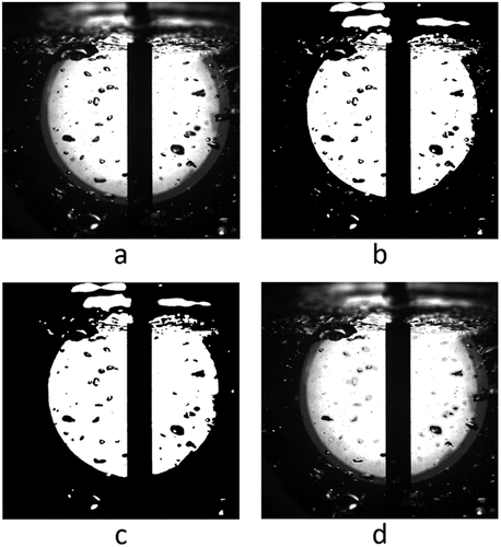 Figure 4. Results of image processing: (a) Input image, (b) Binary image, (c) Morphologically filtered image, (d) Detected bubble boundaries.