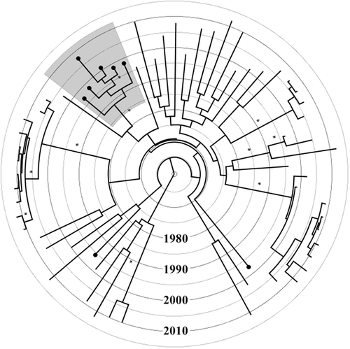 Figure 1. Time-resolved maximum clade credibility tree of 63 subtype B Icelandic sequences. The tree was constructed using TreeAnnotator v1.8.0 included in BEAST software package. Branches with posterior probability value of 1.0 are marked with an asterisk. Terminal branches marked with a black circle at the tip represent sequences harbouring at least one transmitted drug resistance (TDR) mutation. The grey shaded area represents the monophyletic cluster with TDR mutation (T215C/D).