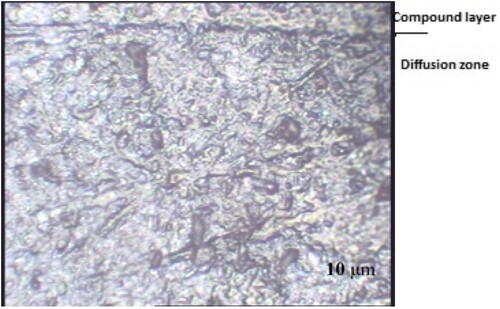 Figure 2. Microstructure of nitrided AISI 1045 at a magnification of 200×.