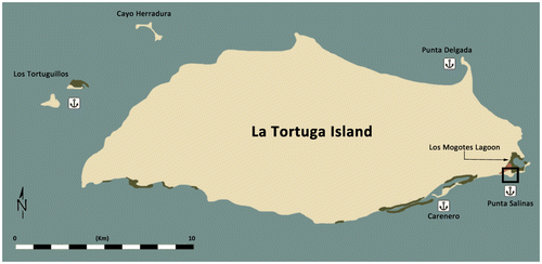 FIG. 2 Map of La Tortuga Island and its main anchorages.